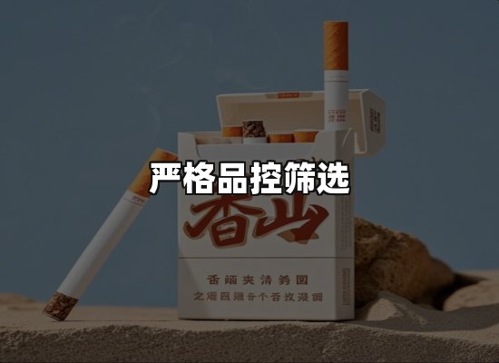 专业优势